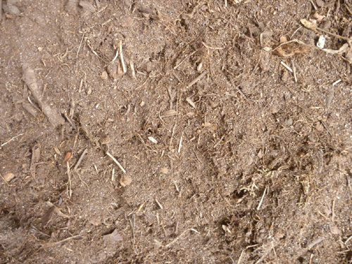 Photo produit – Terre de bruyère forestière Terre de bruyère forestière